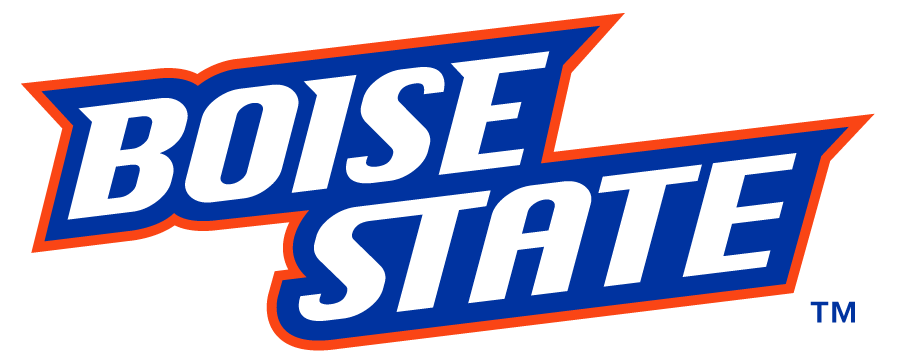 Boise State Broncos 2012-2013 Wordmark Logo iron on transfers for clothing